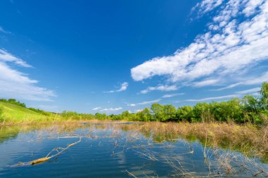 Bahar fotoğrafı, söğüt ağacı, parlak yeşillik, bulutlu mavi gökyüzü, harika bahar havası.