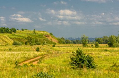 Yaz manzarası, nehir taşkınları, pitoresk kıyılar, kır çiçekli parlak yeşil çimenler, beyaz bulutlu mavi gökyüzü, ılık yaz günleri.,