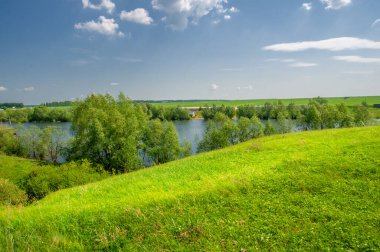 Bahar fotoğrafı, söğüt ağacı, parlak yeşillik, bulutlu mavi gökyüzü, harika bahar havası.