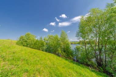 Bahar fotoğrafı, söğüt ağacı, parlak yeşillik, bulutlu mavi gökyüzü, harika bahar havası.