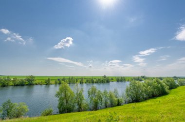 Bahar fotoğrafı, söğüt ağacı, parlak yeşillik, bulutlu mavi gökyüzü, harika bahar havası.