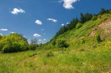 Yaz fotoğrafçılığı, su çayırları, nehir taşkın ovaları, dağdan çekilmiş fotoğraflar. Nehrin kenarında yemyeşil çimenler, çam, huş ağacı, fındık ağacı yetişir. sıcak yaz günleri