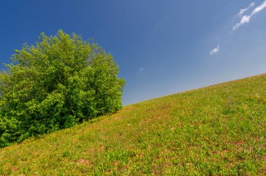 Bahar fotoğrafçılığı, çayır tarlaları, ağaçlar, tepeler ve vadiler, bulutlu bir gökyüzünde parlak güneş.