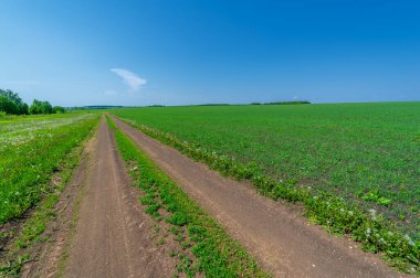 Bahar fotoğrafçılığı, buğday tarlalarındaki toprak yol. Hareket ve iletişim için tasarlanmış şerit