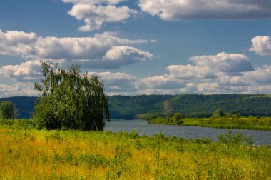 Yaz fotoğrafçılığı, su çayırları, nehir taşkın ovaları, dağdan çekilmiş fotoğraflar. Nehrin kenarında yemyeşil çimenler, çam, huş ağacı, fındık ağacı yetişir. sıcak yaz günleri