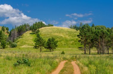 Yaz manzarası, nehir taşkınları, pitoresk kıyılar, kır çiçekli parlak yeşil çimenler, beyaz bulutlu mavi gökyüzü, ılık yaz günleri.,