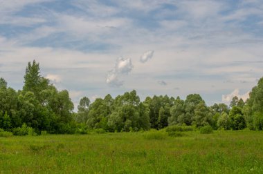 Yaz manzarası, gök gürültülü bulutlar, mavi gökyüzü, sel basmış çayır tarlaları, yaz renklerinin kokusu ve çeşitli kır çiçekleri.