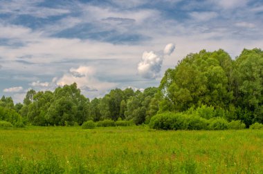 Yaz manzarası, gök gürültülü bulutlar, mavi gökyüzü, sel basmış çayır tarlaları, yaz renklerinin kokusu ve çeşitli kır çiçekleri.