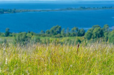 Yaz manzarası. Dünyanın Avrupa bölgesindeki bir nehir. Güneşli sıcak bir gün. Yeşil ağaçlar, çimenler. Mavi gökyüzü küçük bir bulut örtüsüyle.