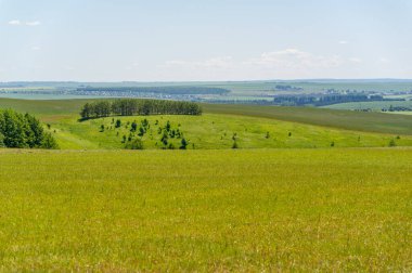 Yaz manzarası, biçilmiş tarlalar biçilmiş tarlalar, biçilmiş yoncalar.