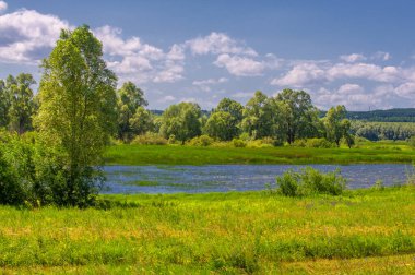 Yaz manzarası, nehir taşkınları, pitoresk kıyılar, kır çiçekli parlak yeşil çimenler, beyaz bulutlu mavi gökyüzü, ılık yaz günleri.,