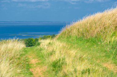 Yaz manzarası. Dünyanın Avrupa bölgesindeki bir nehir. Güneşli sıcak bir gün. Yeşil ağaçlar, çimenler. Mavi gökyüzü küçük bir bulut örtüsüyle.