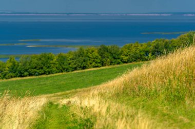 Yaz manzarası. Dünyanın Avrupa bölgesindeki bir nehir. Güneşli sıcak bir gün. Yeşil ağaçlar, çimenler. Mavi gökyüzü küçük bir bulut örtüsüyle.