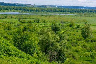 Yaz fotoğrafçılığı, dağlar, çam ağaçları, huş ağaçları, meşeler, tepeler, beyaz bulutlu mavi gökyüzü, toprak yol, köknar ağaçları arasında sallanan rüzgarlar, parlak kırmızı çilekler olgunlaşmış.