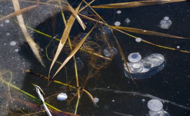 Sokakta buz var, nehirde buz var, buz kabarcıkları buzda sıkışmış, alışılmadık renkte buz mimarisi