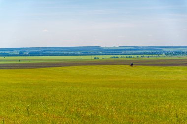 Yaz manzarası, biçilmiş tarlalar biçilmiş tarlalar, biçilmiş yoncalar.