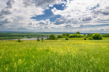 Yaz manzarası, büyük bir nehir, nehrin kıyısında çayır çiçekleri, gökyüzünde güçlü bulutlar, Kama Nehri boyunca bir turist yürüyüşü.