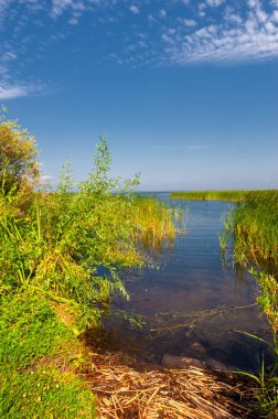 Yaz manzarası. Dünyanın Avrupa bölgesindeki bir nehir. Güneşli sıcak bir gün. Yeşil ağaçlar, çimenler. Mavi gökyüzü küçük bir bulut örtüsüyle.