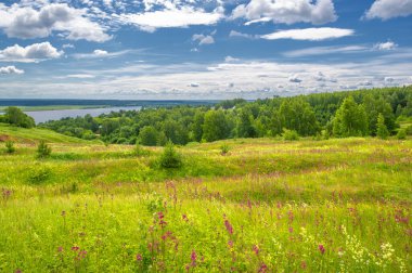 Yaz manzarası, büyük bir nehir, nehrin kıyısında çayır çiçekleri, gökyüzünde güçlü bulutlar, Kama Nehri boyunca bir turist yürüyüşü.