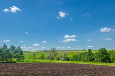 Yaz manzarası, vadiler, çayırlar, yaz manzarasının yeşil çimenleri, dünyanın Avrupa bölgesi, bunaltıcı yaz mevsimi.