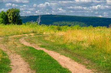 Yaz fotoğrafı. Sel ovaları (veya sel ovaları), nehir kıyısında mevsimsel sellere eğilimli bir çayır ya da çayır alanıdır.