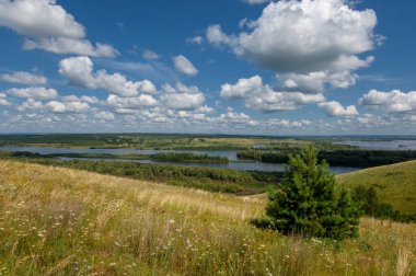Yaz manzarası, bir kanaldan denize, bir göle ya da başka bir dereye akan büyük bir doğal su akıntısı. Sel, nulla, sıvı, ford. Yüksek tepe kıyıları
