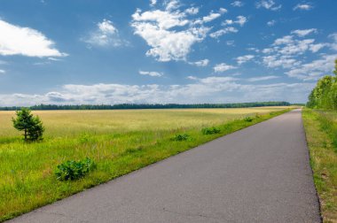 Yaz manzarası. Tarlalar ve ağaçlar arasında giden yerel bir yol. Yerleşim yerleri ve belediye bölgeleri arasındaki yollar. Gökyüzünde güçlü gök gürültülü bulutlar