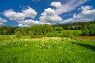 Yaz manzarası, kırsal alan, parlak yeşil çimenler ve ağaçlar, beyaz bulutlu mavi gökyüzü, harika yaz havası.