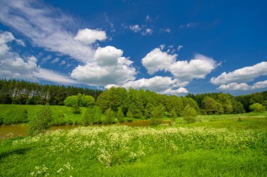Yaz manzarası, kırsal alan, parlak yeşil çimenler ve ağaçlar, beyaz bulutlu mavi gökyüzü, harika yaz havası.