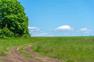 Yaz manzarası, Çernozem 'den toprak yol, mavi bulutsuz gökyüzü, yeşil yonca yoncası, dünyanın Avrupa' da bir yürüyüş