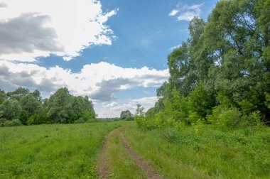 Yaz manzarası, gök gürültülü bulutlar, mavi gökyüzü, sel basmış çayır tarlaları, yaz renklerinin kokusu ve çeşitli kır çiçekleri.