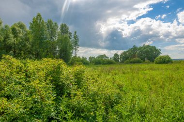 Yaz manzarası, gök gürültülü bulutlar, mavi gökyüzü, sel basmış çayır tarlaları, yaz renklerinin kokusu ve çeşitli kır çiçekleri.