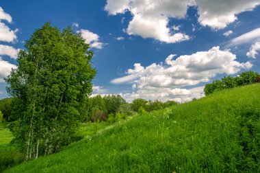 Yaz manzarası, kırsal alan, parlak yeşil çimenler ve ağaçlar, beyaz bulutlu mavi gökyüzü, harika yaz havası.