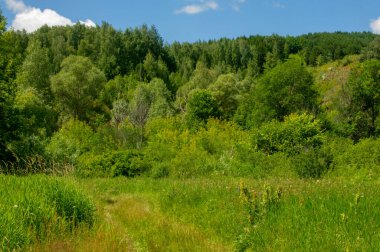 Yaz fotoğrafı. Sel ovaları (veya sel ovaları), nehir kıyısında mevsimsel sellere eğilimli bir çayır ya da çayır alanıdır.