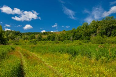 Yaz fotoğrafı. Sel ovaları (veya sel ovaları), nehir kıyısında mevsimsel sellere eğilimli bir çayır ya da çayır alanıdır.