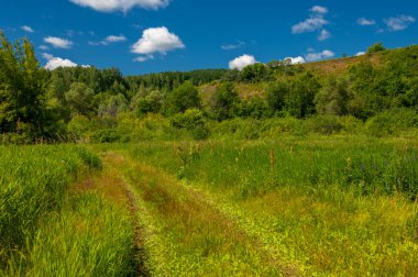 Yaz fotoğrafı. Sel ovaları (veya sel ovaları), nehir kıyısında mevsimsel sellere eğilimli bir çayır ya da çayır alanıdır.