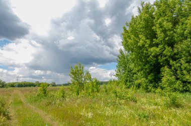 Yaz manzarası, gök gürültülü bulutlar, mavi gökyüzü, sel basmış çayır tarlaları, yaz renklerinin kokusu ve çeşitli kır çiçekleri.