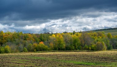 Sonbahar manzara fotoğrafı. Sonbahar mevsiminde Avrupa 'nın karışık ormanlarının ağaçlandırılmış manzarası, büyük mavi bulutlar, ışık parlıyor, toprağı aydınlatıyor.