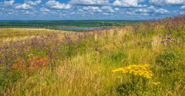 Yaz manzarası, bir kanaldan denize, bir göle ya da başka bir dereye akan büyük bir doğal su akıntısı. Sel, nulla, sıvı, ford. Yüksek tepe kıyıları