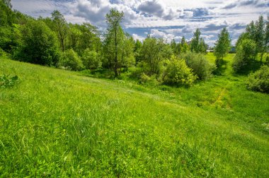 Yaz manzarası, kırsal alan, parlak yeşil çimenler ve ağaçlar, beyaz bulutlu mavi gökyüzü, harika yaz havası.