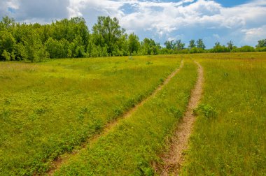 Yaz manzarası, gök gürültülü bulutlar, mavi gökyüzü, sel basmış çayır tarlaları, yaz renklerinin kokusu ve çeşitli kır çiçekleri.