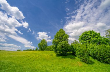 Yaz manzarası, kırsal alan, parlak yeşil çimenler ve ağaçlar, beyaz bulutlu mavi gökyüzü, harika yaz havası.