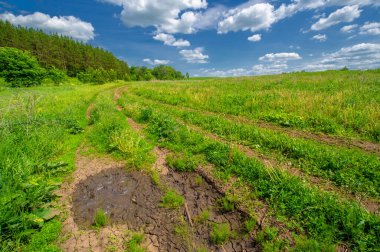 Yaz manzarası, kırsal alan, parlak yeşil çimenler ve ağaçlar, beyaz bulutlu mavi gökyüzü, harika yaz havası.