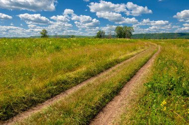 Yaz fotoğrafı. Sel ovaları (veya sel ovaları), nehir kıyısında mevsimsel sellere eğilimli bir çayır ya da çayır alanıdır.