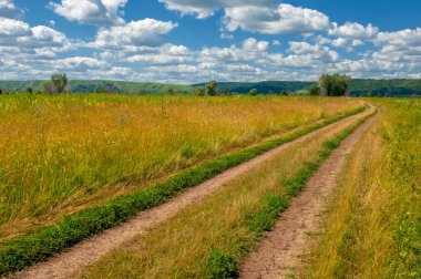 Yaz fotoğrafı. Sel ovaları (veya sel ovaları), nehir kıyısında mevsimsel sellere eğilimli bir çayır ya da çayır alanıdır.
