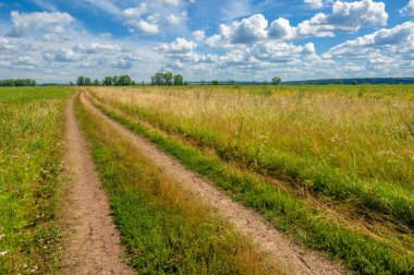 Yaz fotoğrafı. Sel ovaları (veya sel ovaları), nehir kıyısında mevsimsel sellere eğilimli bir çayır ya da çayır alanıdır.