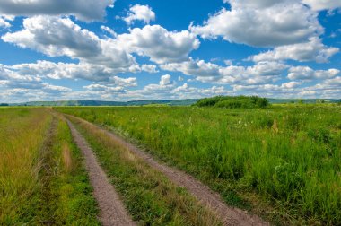 Yaz fotoğrafı. Sel ovaları (veya sel ovaları), nehir kıyısında mevsimsel sellere eğilimli bir çayır ya da çayır alanıdır.