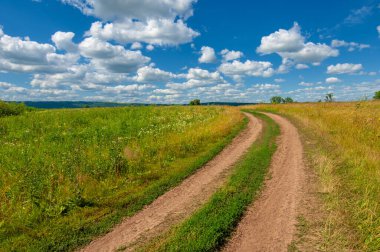 Yaz fotoğrafı. Sel ovaları (veya sel ovaları), nehir kıyısında mevsimsel sellere eğilimli bir çayır ya da çayır alanıdır.