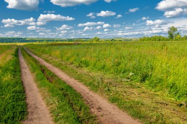 Yaz fotoğrafı. Sel ovaları (veya sel ovaları), nehir kıyısında mevsimsel sellere eğilimli bir çayır ya da çayır alanıdır.