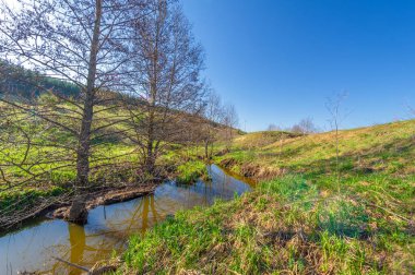 Manzara, akarsu, Bahar, Vadi 'nin fotoğrafları akan su tarafından oluşturulan ve genellikle bir yamaçta hızla toprağa çöken bir rahatlamadır. Güller büyük hendeklere ya da küçük vadilere benzer.,